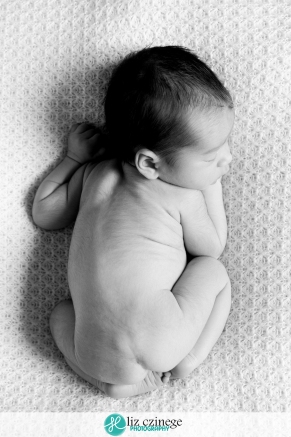 liz_czinege_hamilton_niagara_newborn_child_photographer02